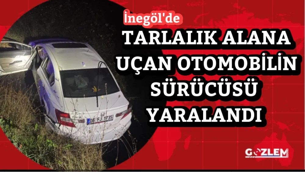 Tarlalık alana uçan otomobilin sürücüsü yaralandı