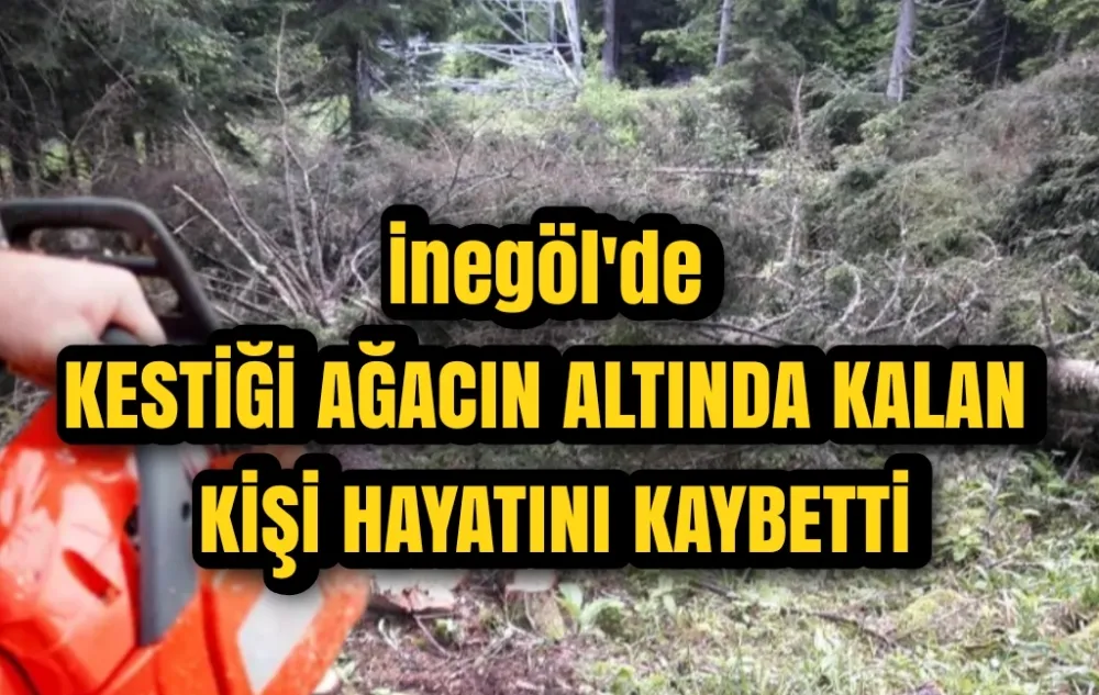  Kestiği ağacın altında kalarak hayatını kaybetti