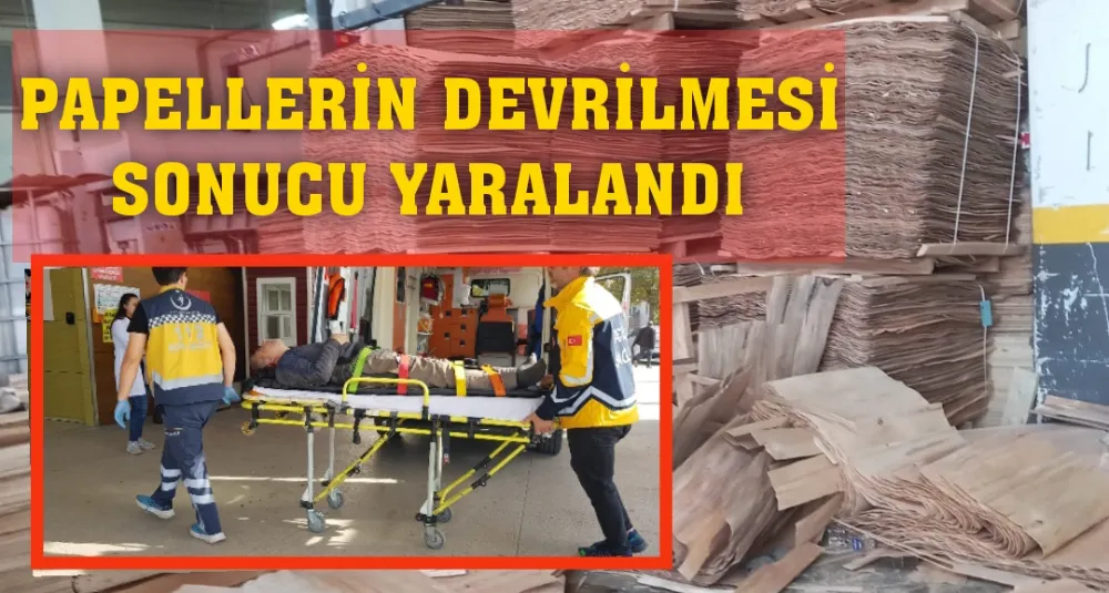 Papellerin devrilmesi sonucu yaralandı