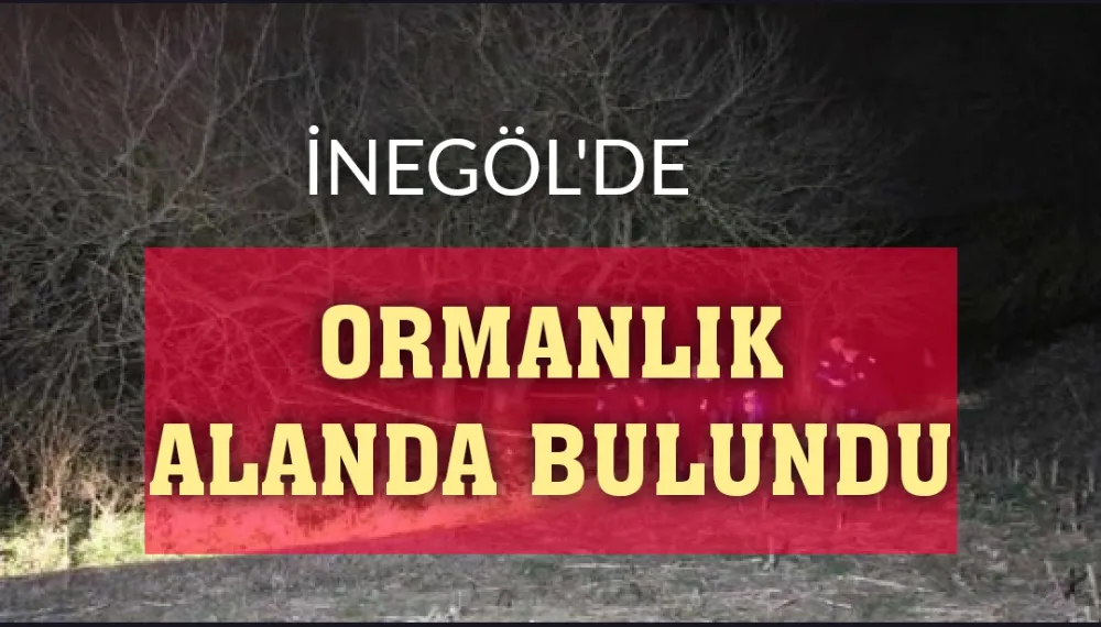 Aracının kapıları açık ormanlık alanda bulundu 