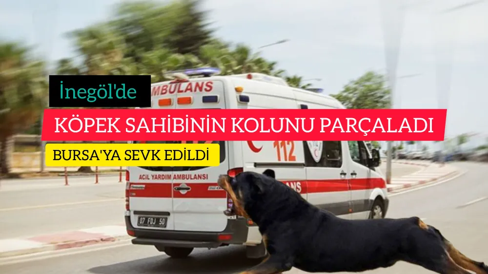 KÖPEK SAHİBİNİN KOLUNU PARÇALADI