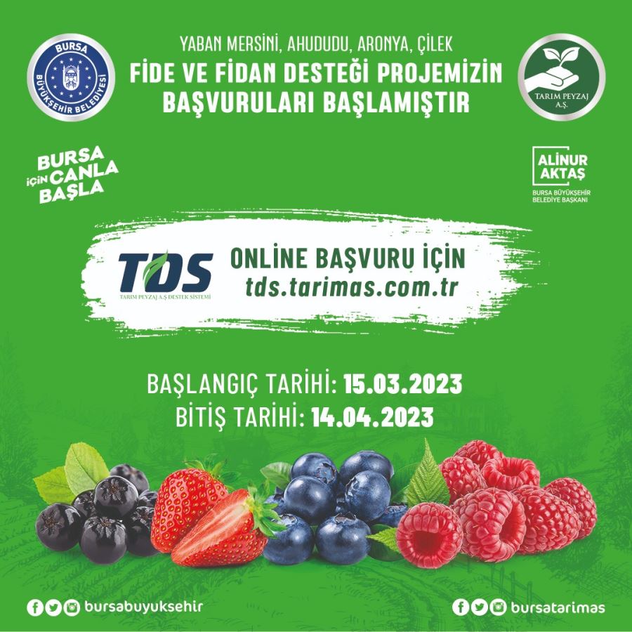 Hibeli fide fidan başvuruları başladı