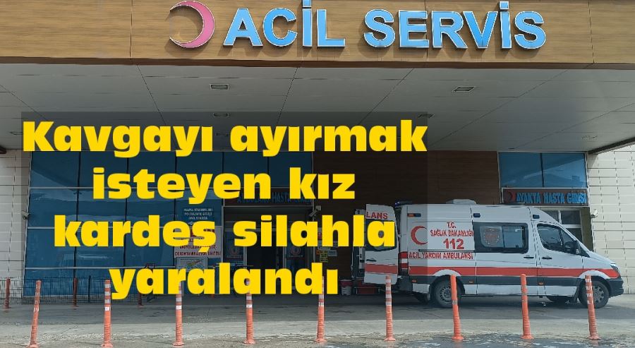 Kavgayı ayırmak isteyen kız kardeş silahla yaralandı 