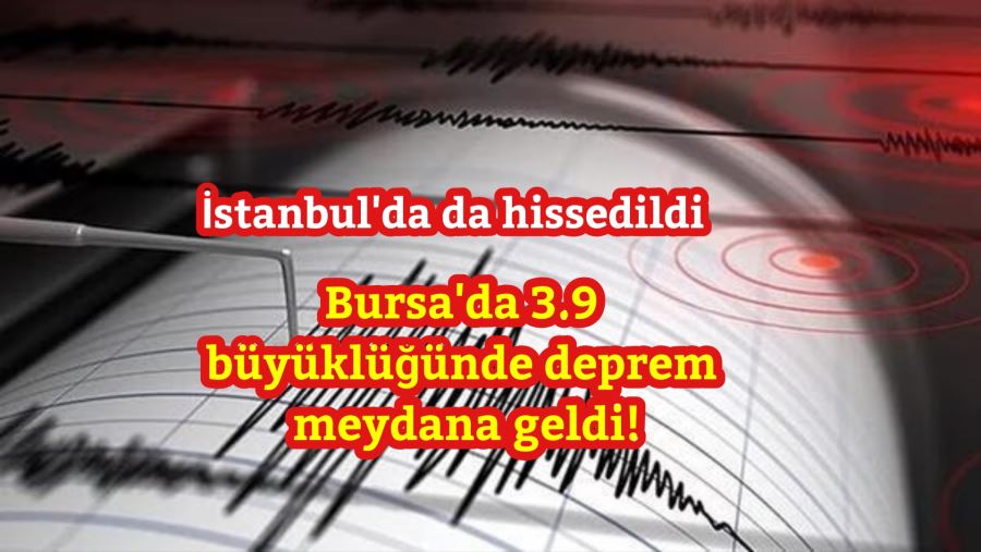 Bursa