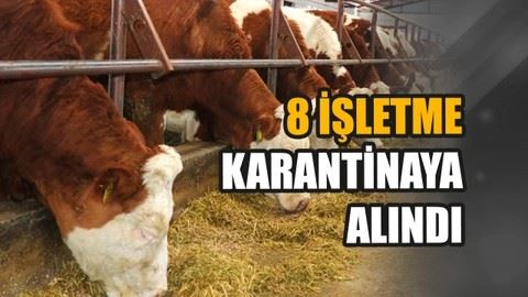 Tarım Bakanlığı: Şap hastalığı taşıyan ilk vaka tespit edildi