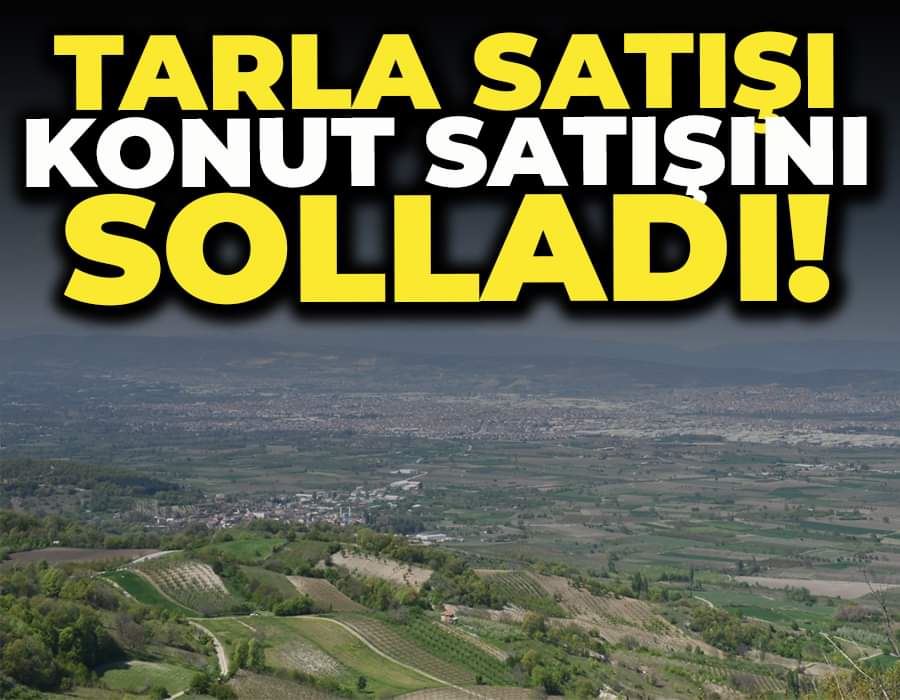 Tarla satışı konut satışını solladı!