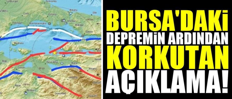 Bursa