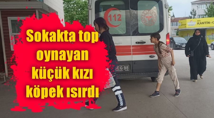 Sokakta top oynayan küçük kızı köpek ısırdı