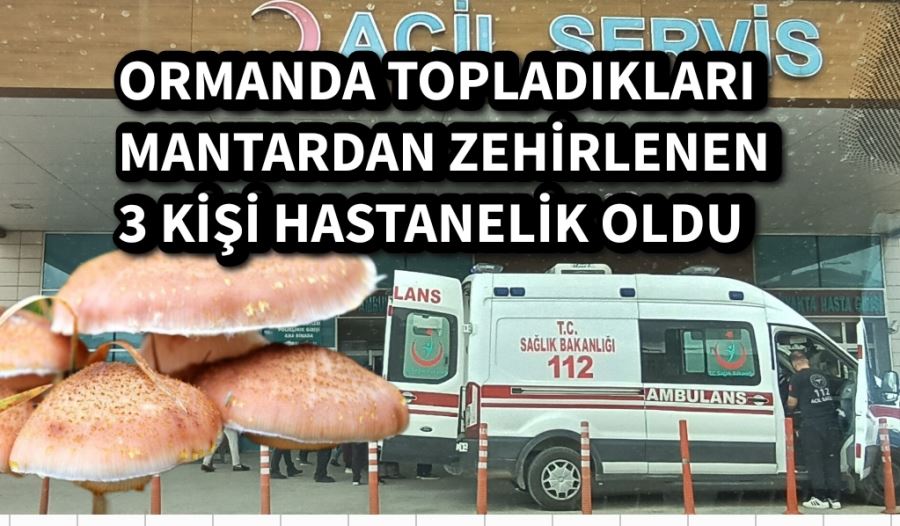 ORMANDA TOPLADIKLARI  MANTARDAN ZEHİRLENEN  3 KİŞİ HASTANELİK OLDU 