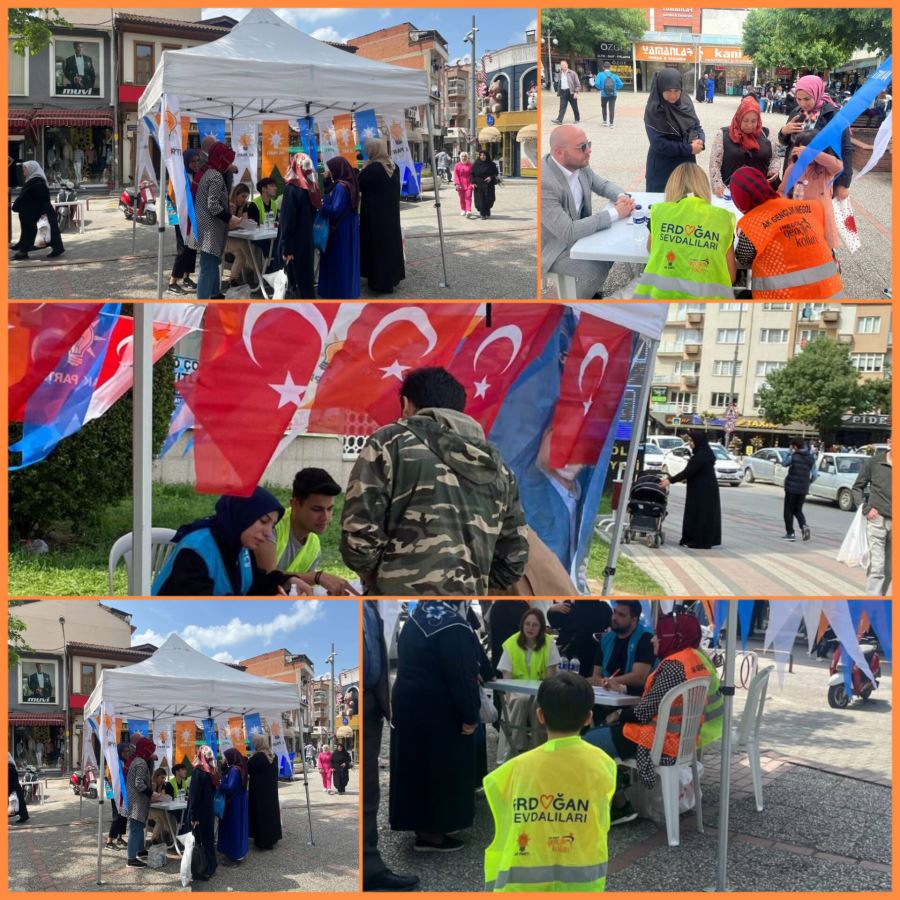 AK Parti İnegöl gençlik kolları tekrar sahaya indi