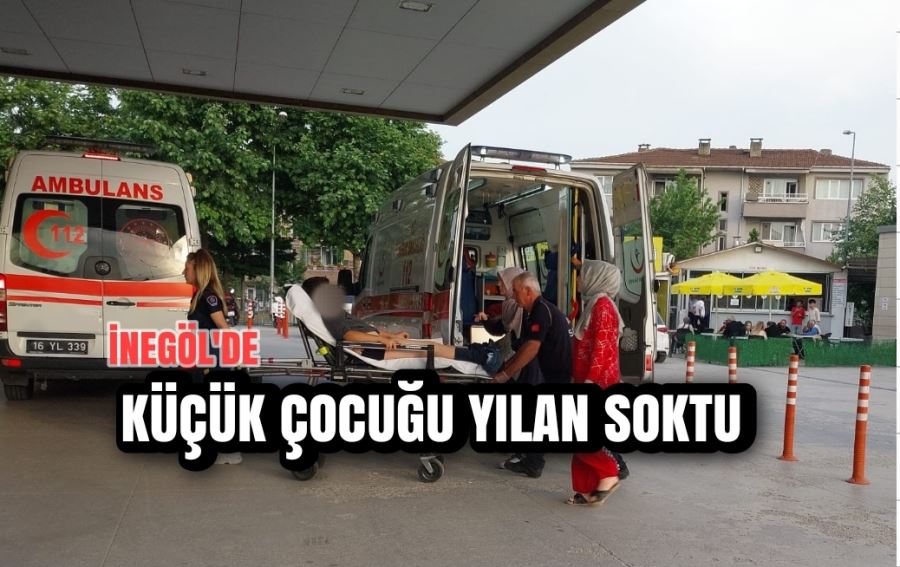 Küçük Çocuğu yılan soktu