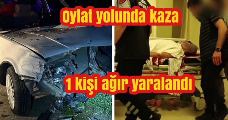 Oylat yolunda kaza 1 kişi ağır yaralandı 