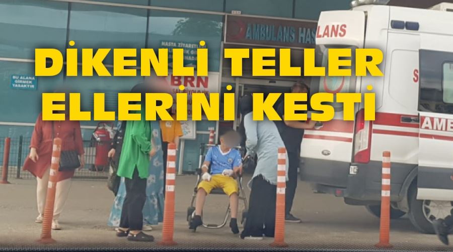 Dikenli teller ellerini kesti