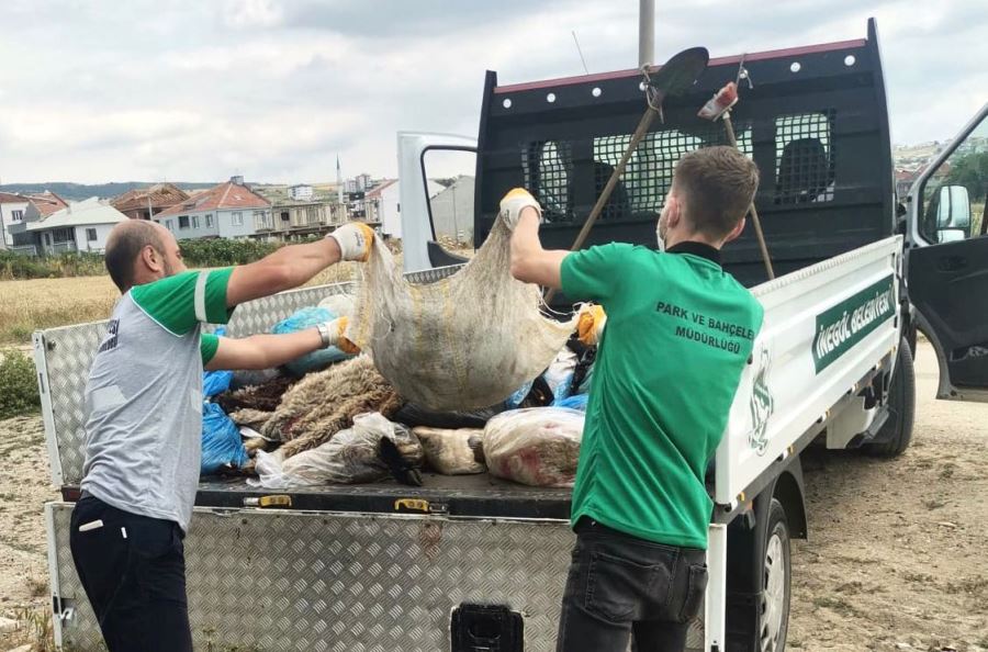 300 Ton Kurban Atığı Toplandı