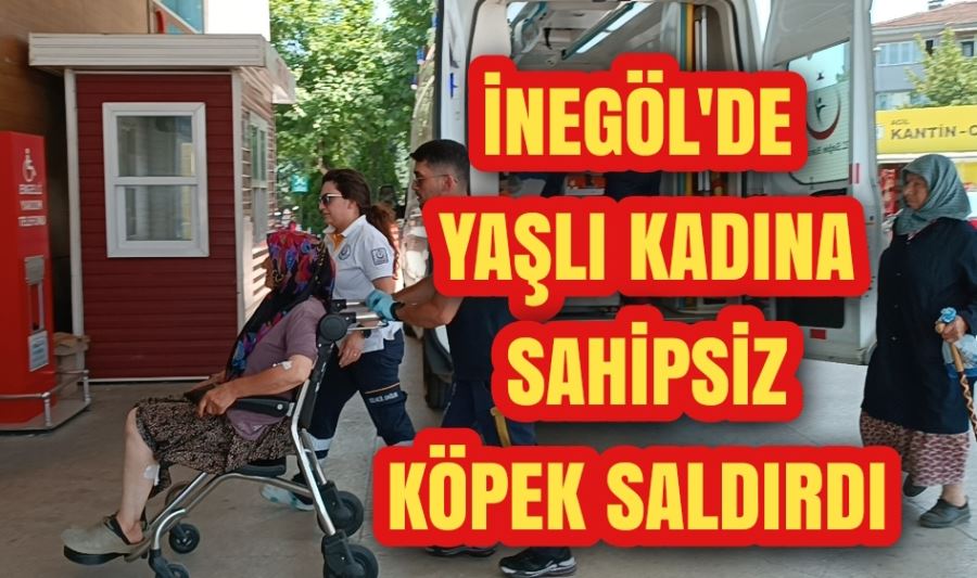 İnegöl