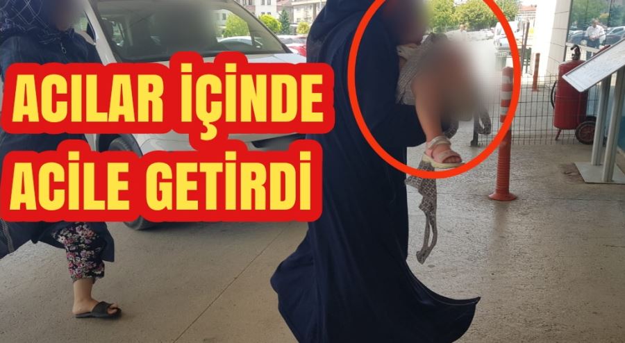 Küçük kız acılar içinde acile getirildi 