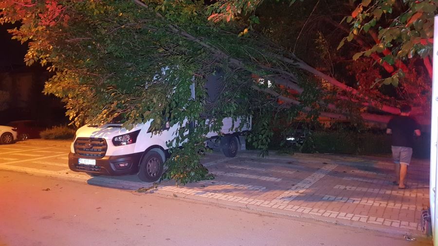 Ağaç park halindeki aracın üzerine devrildi