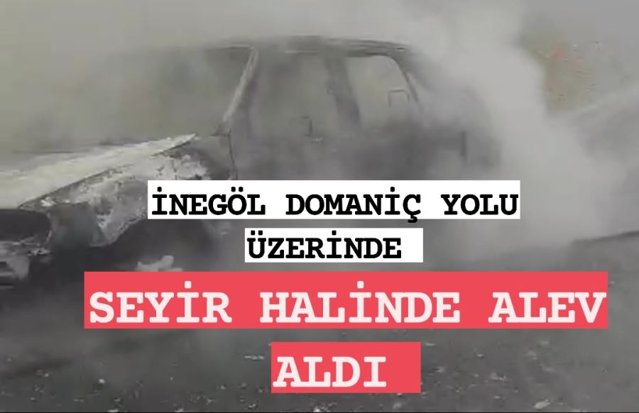 Seyir halinde alevlere teslim oldu 