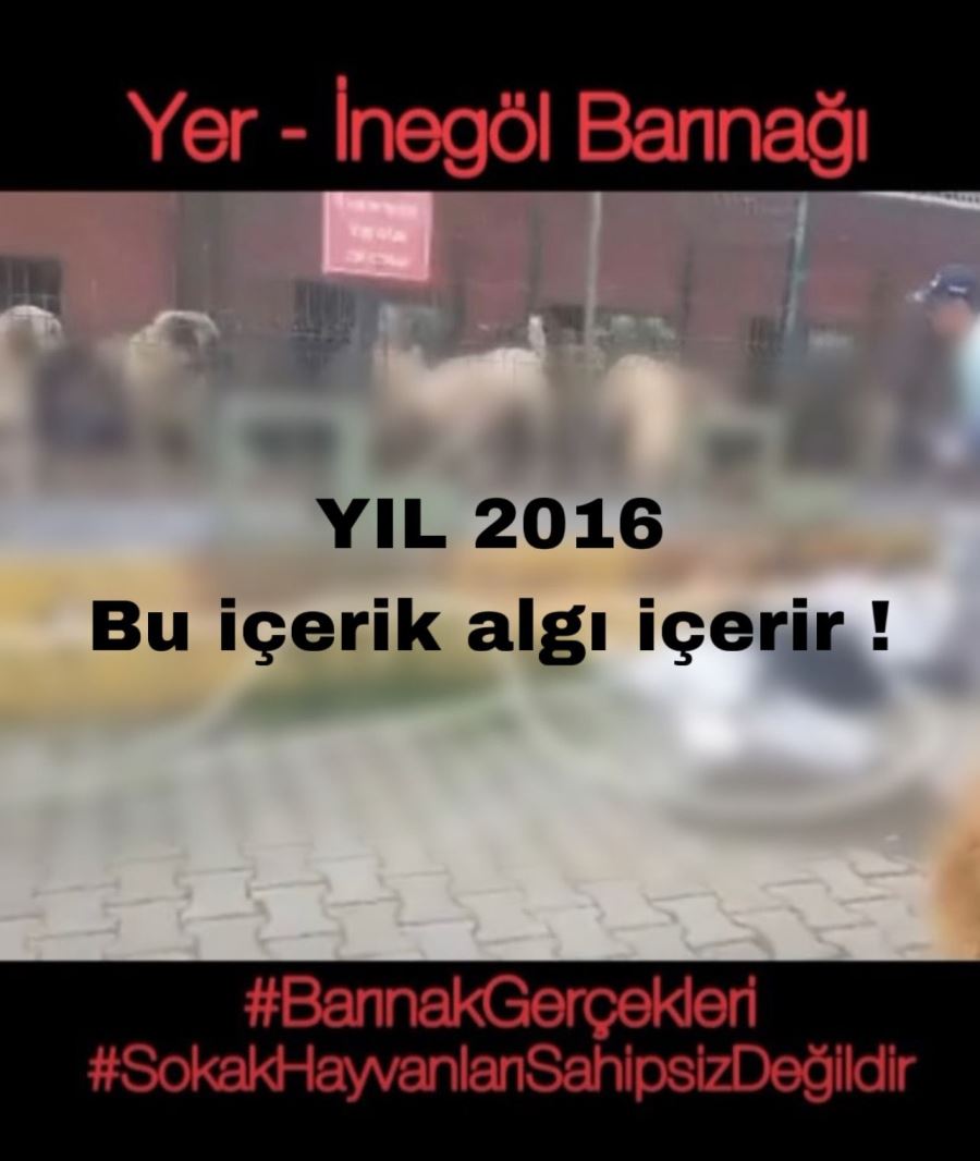 Bu içerik algı içerir !