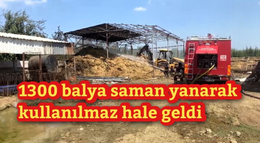 1300 balya saman yanarak kullanılmaz hale geldi 