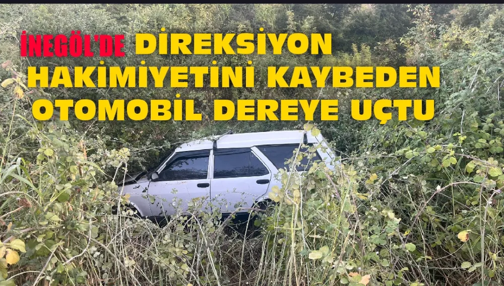 Direksiyon hakimiyetini kaybeden otomobil dereye uçtu