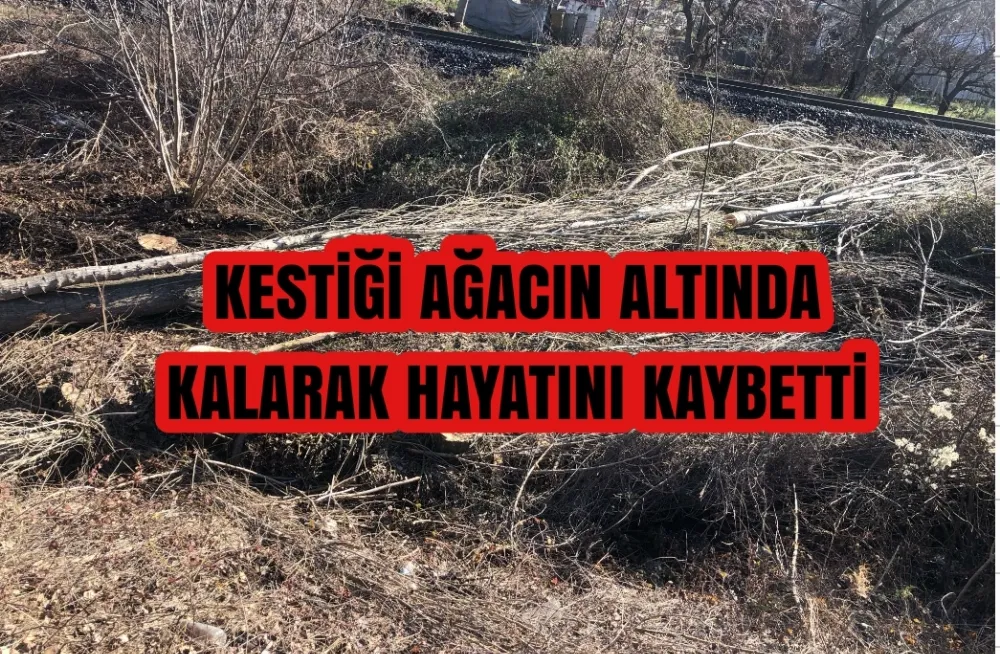 Kestiği ağacın altında kalan kişi öldü