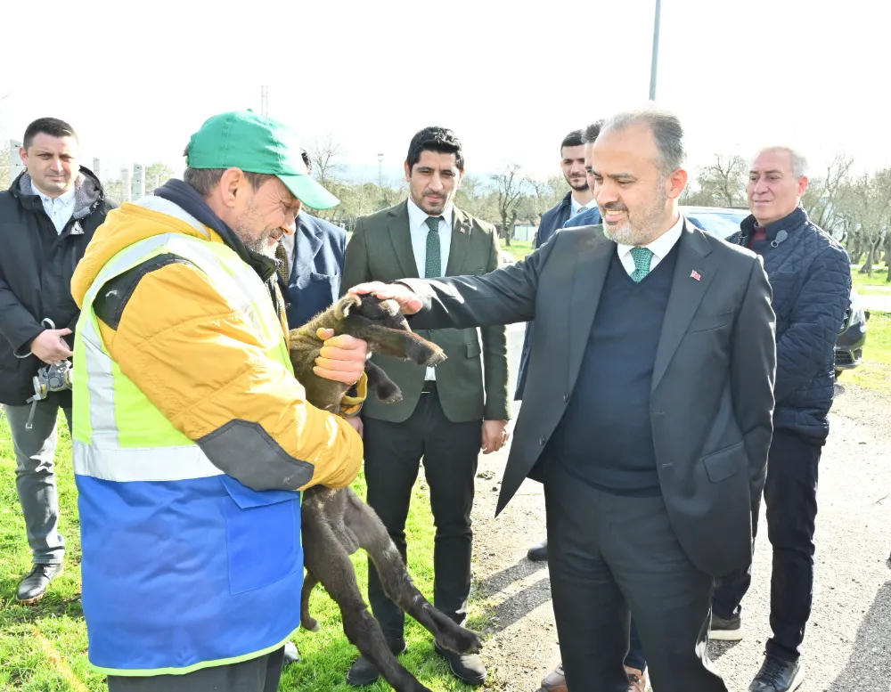 Büyükşehir’le çaresiz değilsiniz