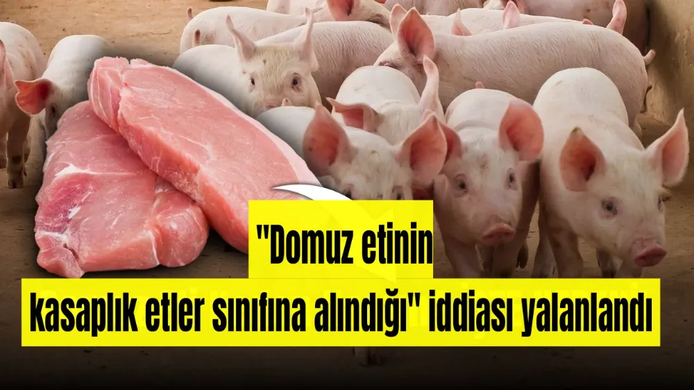 Gıda ve Kontrol Genel Müdürlüğü, et düzenlemesine ilişkin iddiaları yalanladı