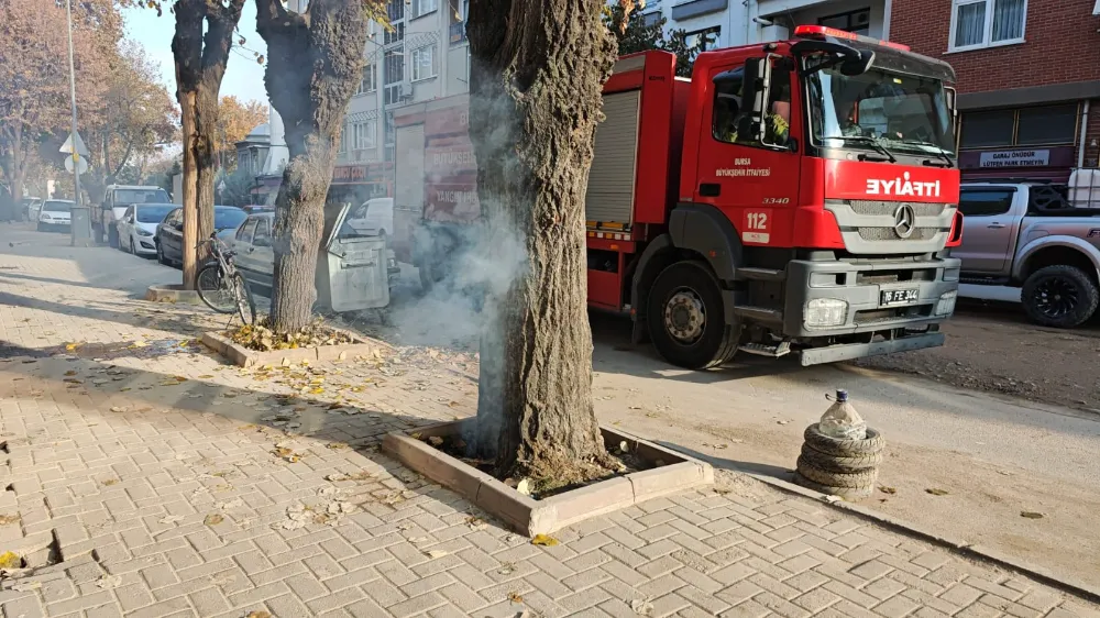 İnegöl’de Ağacın Kökünden Yükselen Dumanlar Ekipleri Harekete Geçirdi