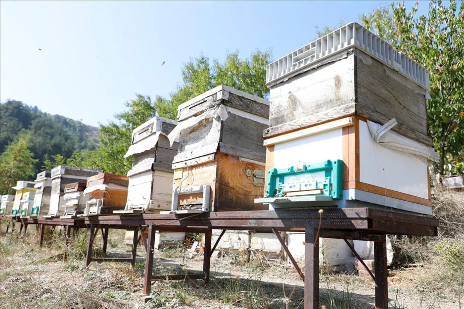 İnegöl Arıcılık Ve Bal Üretiminde De Marka Olacak