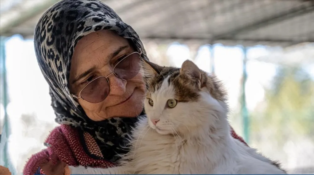 Müstakil evinin bir katını sokak kedilerine yuva yaptı