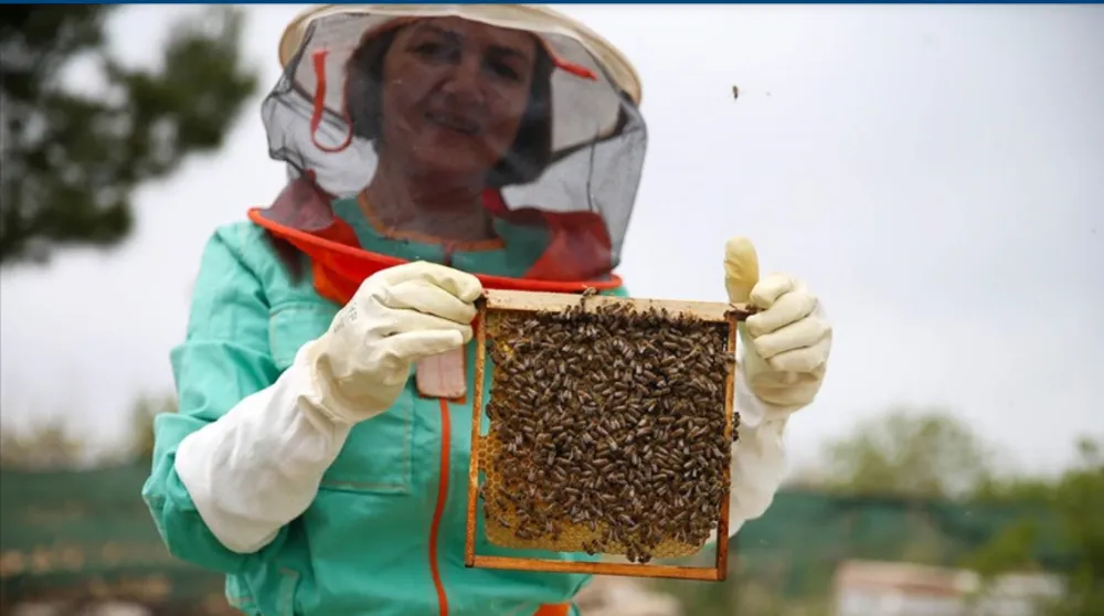 Siparişlere yetişemeyen kadın  arıcı