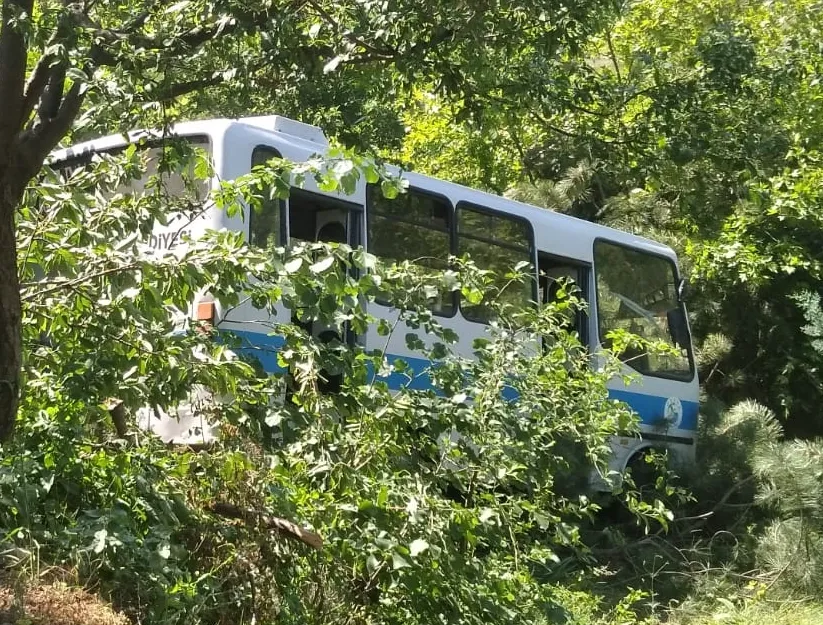 Kaza yapan midibüsteki 9 kişi yaralandı