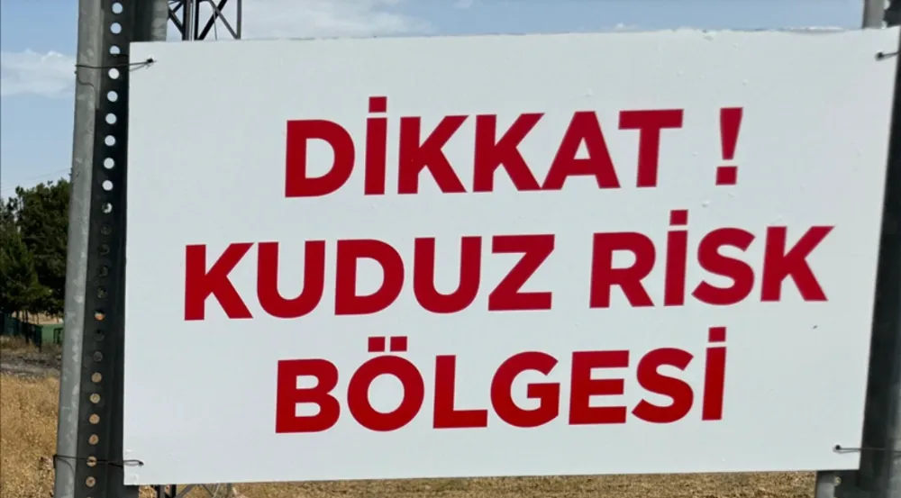 O İlimizde sahipsiz köpeğin bir  kişiyi ısırdığı mahallede kuduz  karantinası başlatıldı