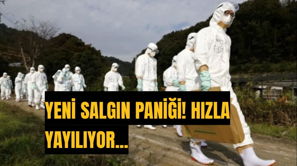 Salgın paniği! Hızla yayılıyor...