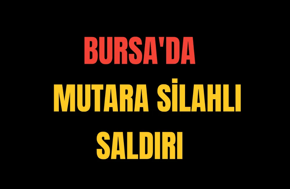 Bursa