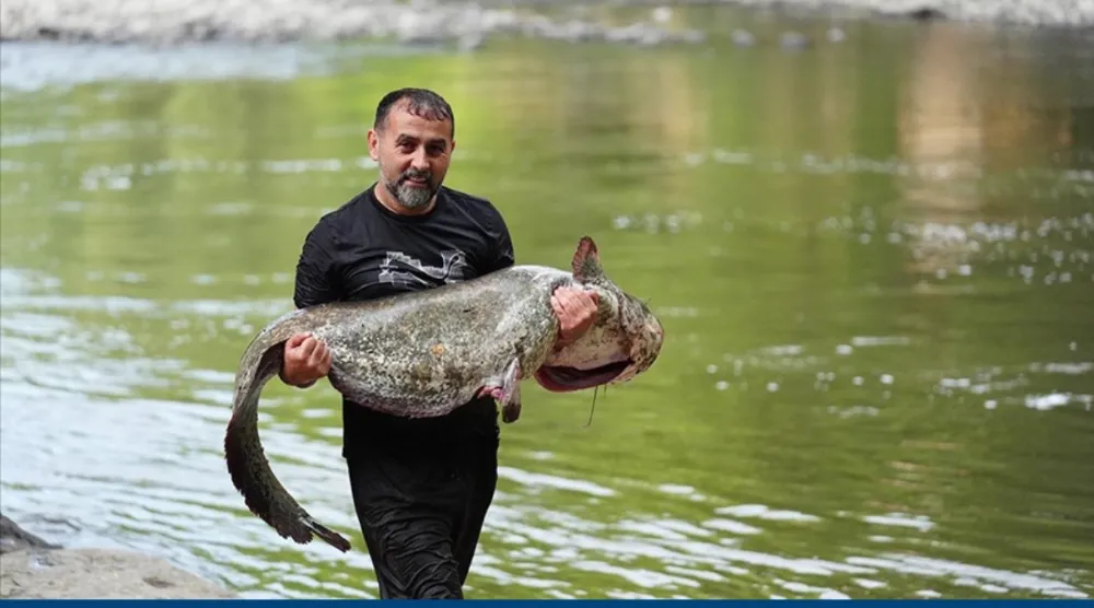 Amatör balıkçının oltasına 52 kilogramlık  yayın takıldı