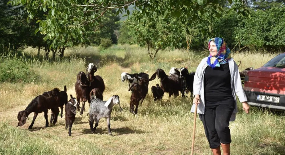 Kuaförlüğü bırakıp keçi  yetiştiriciliğine başlayan kadın  sürü sahibi oldu