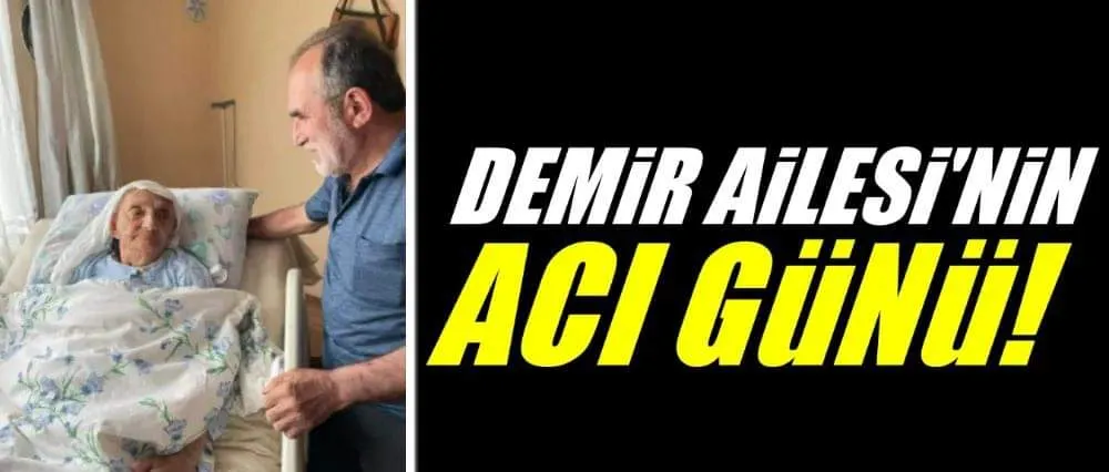 Demir Ailesi