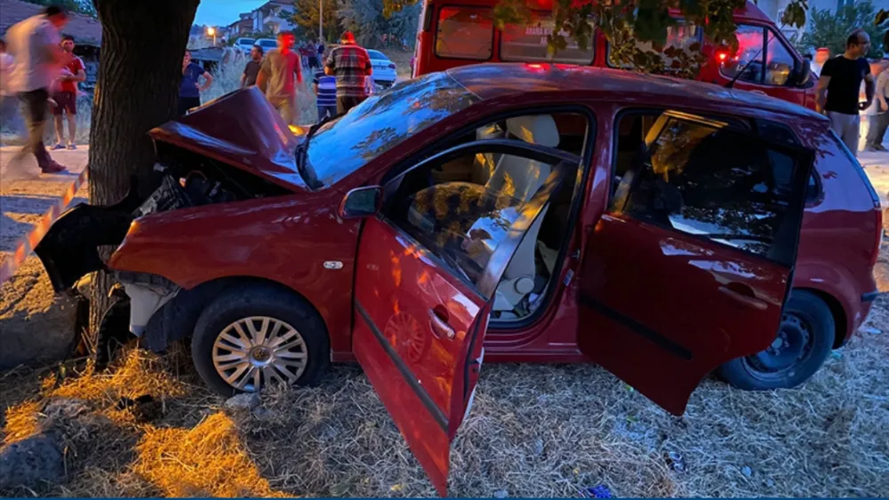 Ağaca çarpan otomobildeki 2 kişi öldü, 6 kişi  yaralandı