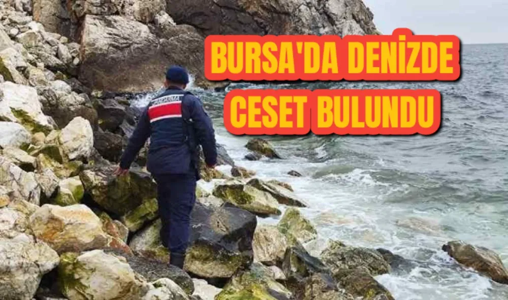 Bursa