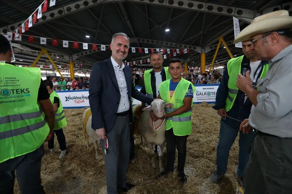 Küçükbaş Hayvancılık Festivali İçin Geri Sayım Başladı