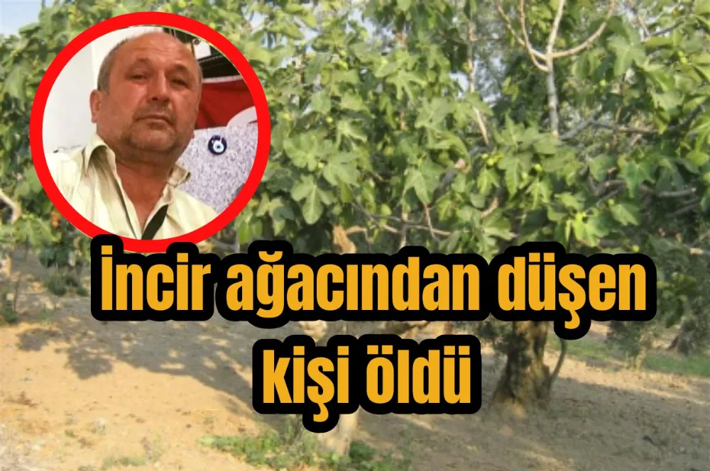 İncir ağacından düşen kişi öldü