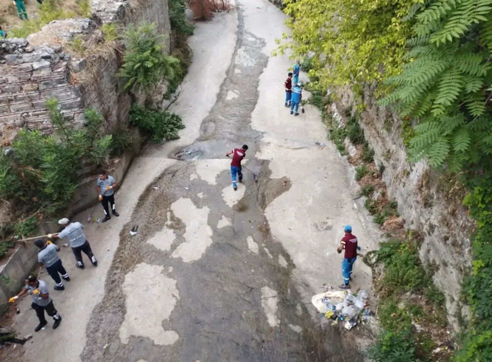 Temiz çevre için güç birliği