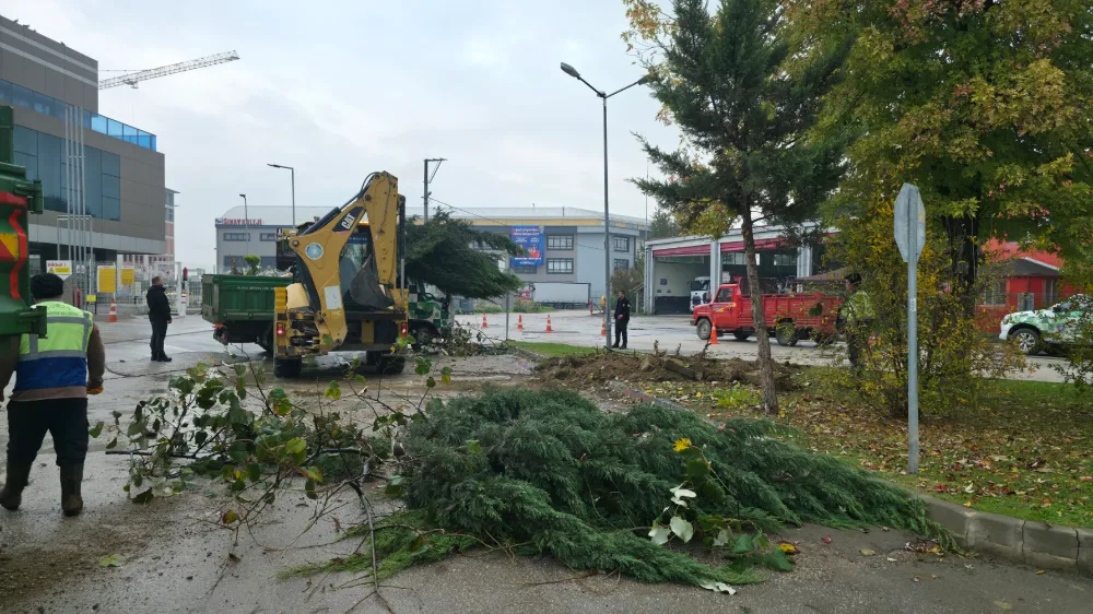 Büyükşehir ekipleri Üçgen Park’taki ağaçları başka alana taşıdı