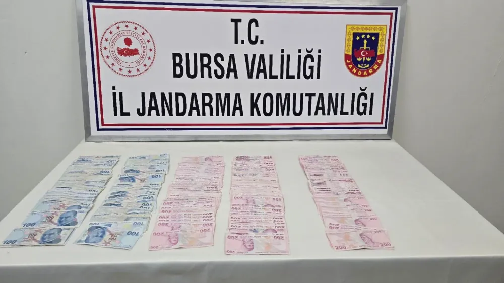 Bursa