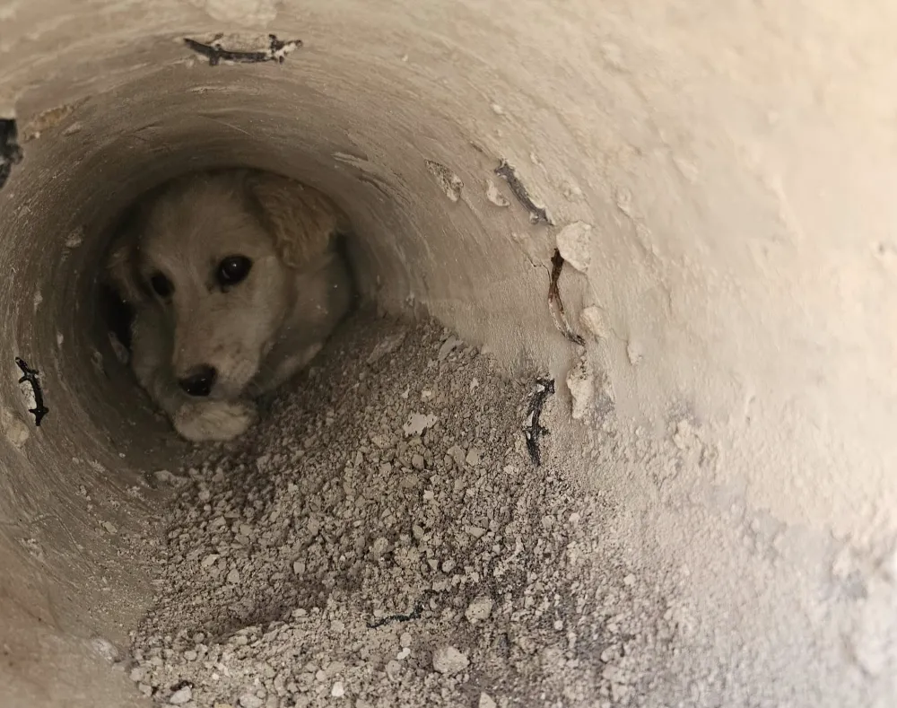 İnegöl’de İtfaiyeden Hayat Kurtaran Müdahale