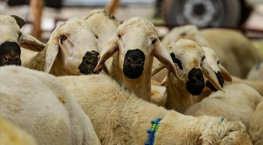 Kurban Hizmetlerinin  Uygulanmasına Dair Tebliğ,  Resmi Gazete
