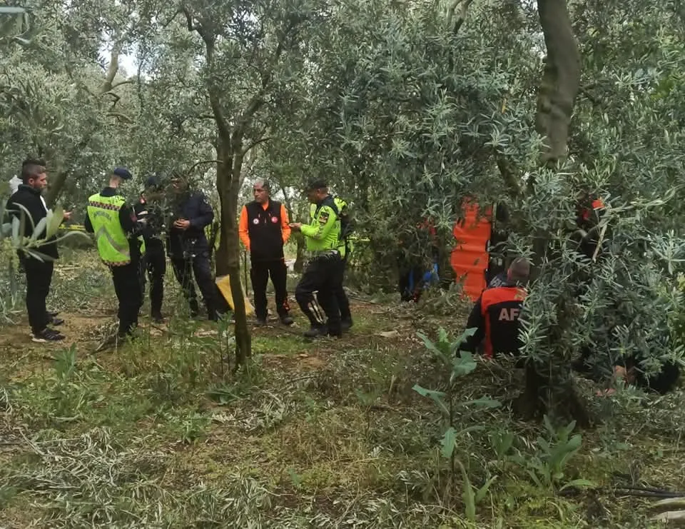 Heryerde aranan emekli öğretmenden acı haber! Zeytinlikte ölü olarak bulundu...