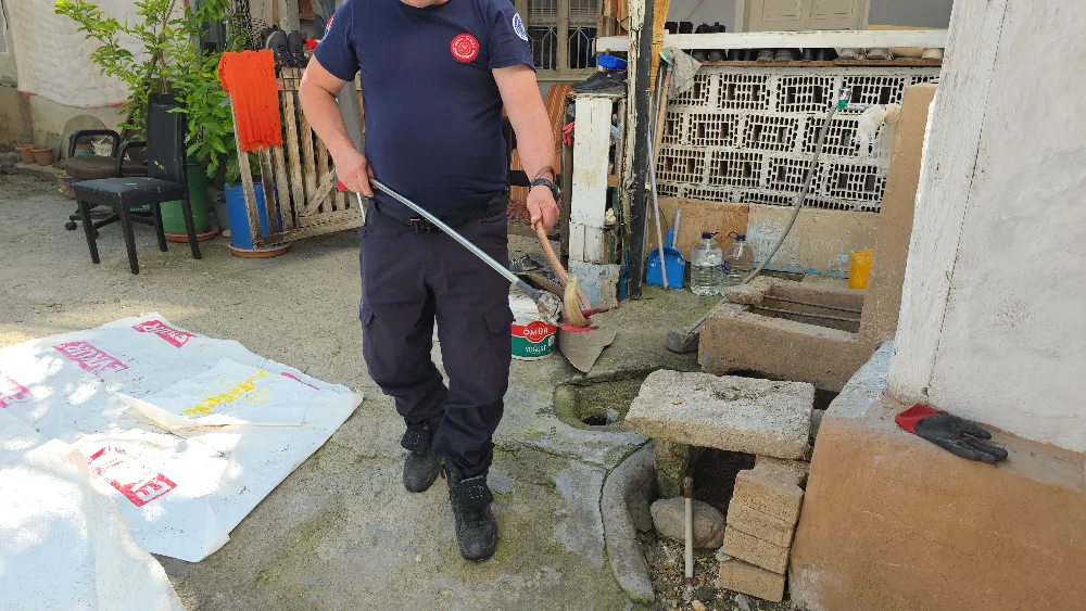 İtfaiyelik Olay: Yılan Diye Çağırdılar, Kertenkele Çıktı